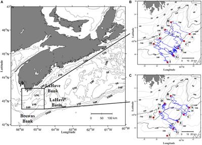 Biophysical Drivers of Zooplankton Variability on the Scotian Shelf Observed Using Profiling Electric Gliders